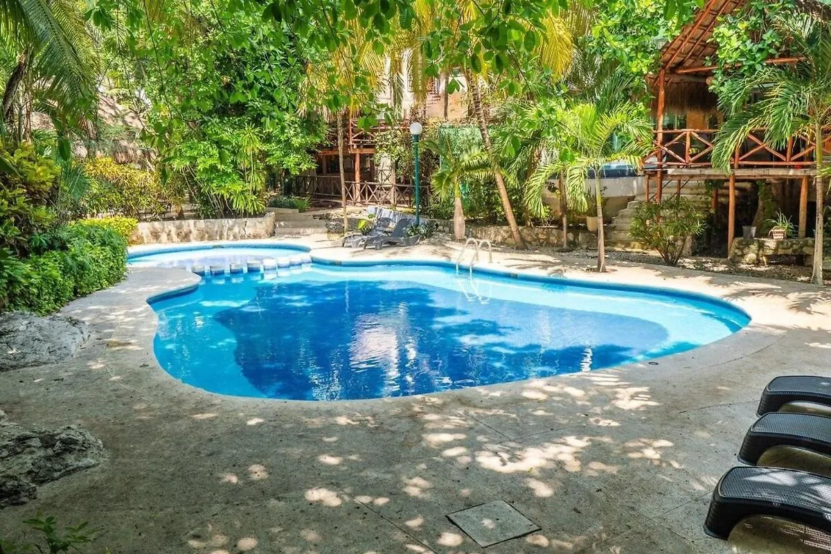 Apartment In Duplex One Block From Playacar Beach Playa del Carmen 0*,  Mexico