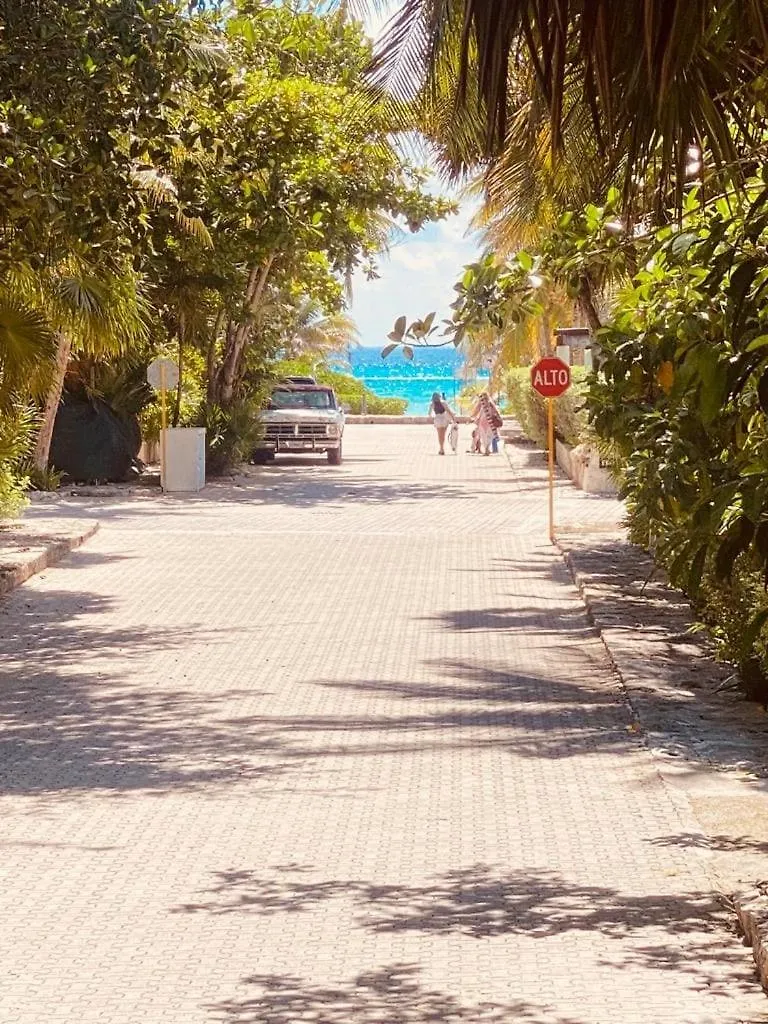 Apartment In Duplex One Block From Playacar Beach 普拉亚卡门 0*,  墨西哥